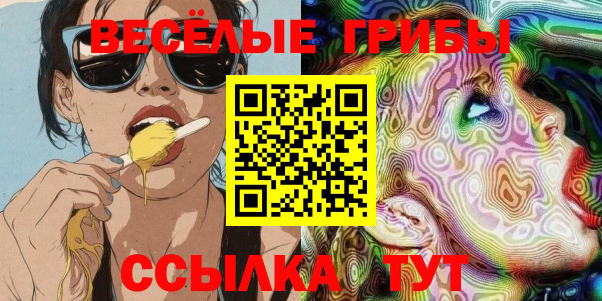 Псилоцибиновые грибы Psilocybe Ковров