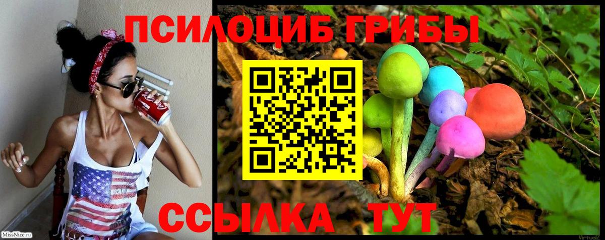 Галлюциногенные грибы мухоморы  Галлюциногенные грибы Psilocybe  Ковров  Вход с VPN 